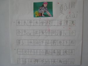 [:zh]WechatIMG793[:]